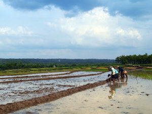 5 Tipe Orang yang Sering Ada Saat Gotong Royong