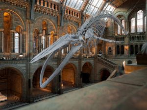 Saya Pergi ke Museum yang Guide-nya Membosankan agar Teman Lepas dari Masalah
