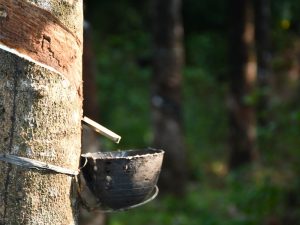 Upah Buruh di Kampung Saya Lebih Besar dari Upah Minimum Provinsi