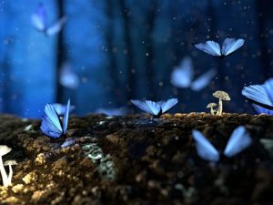 4 Rekomendasi Aplikasi Baca Fan Fiction