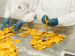Stop Bilang Teknologi Pangan Adalah Jurusan yang Kuliahnya Cuma Masak dan Makan