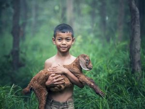 Gaduh: Peluang Bisnis Jadul Mendidik Anak Jadi Pengusaha