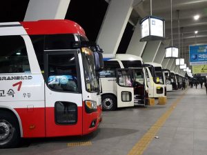 Mengenal Rute Bus Korea Berdasarkan Warna Tayo dan Kawan-kawan
