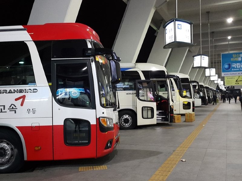 Mengenal Rute Bus Korea Berdasarkan Warna Tayo dan Kawan-kawan Terminal Mojok