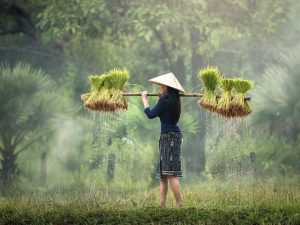 Panduan Menggunakan Panggilan ‘Eneng’, ‘Teteh’, ‘Ceuceu’, dan ‘Nyai’ kepada Perempuan Sunda
