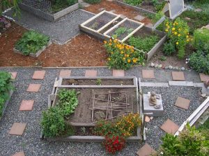 Urban Farming: Budaya Kuno yang Kini Dibutuhkan Masyarakat Pedesaan