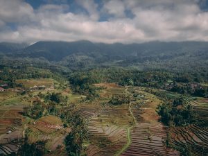 Mari Bersepakat Kota dan Kabupaten Tegal Adalah Jepangnya Indonesia
