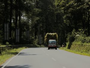 Hal Nyentrik di Kota Semarang yang Bikin Orang Ogah Main ke Sana