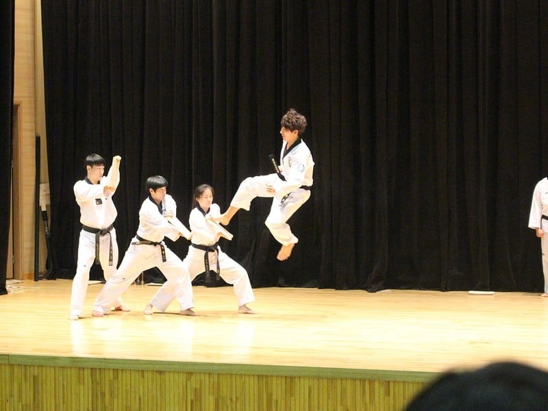taekwondo korea kata edo mojok