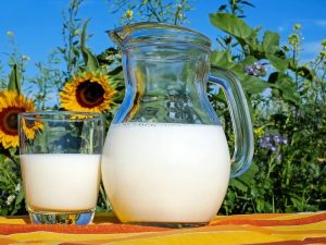 Acara Bagi-bagi Susu Gratis di Sekolah Dasar Adalah Berkah bagi Saya