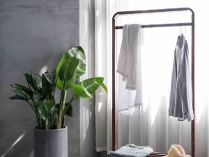 Kalau Punya Gaya Hidup Minimalis Terasa Susah, Jangan-jangan Konsepmu Salah Kaprah