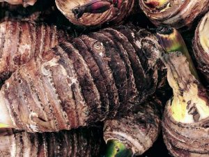 Mengulik Wujud Varian Rasa Kekinian, Mulai dari Taro dan Kawan-kawannya