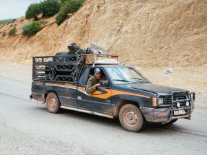 Pengalaman Pahit Saat Naik Motor di Belakang Truk Angkut Hewan Ternak