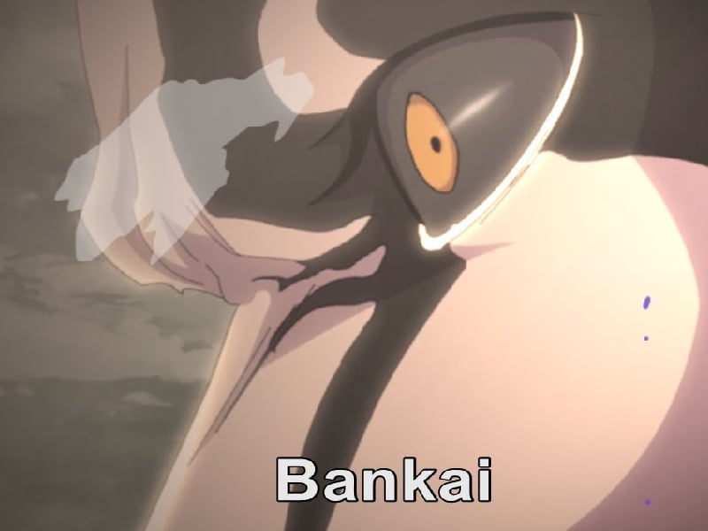bleach anime bankai thousand years blood war mojok