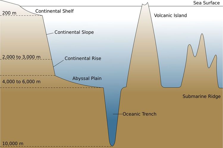 Relief dasar laut.jpg