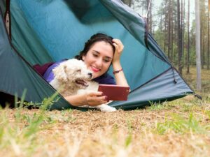 5 Hal yang Bikin Seseorang Gercep Lihat Story tapi Lemot Balas Chat WhatsApp