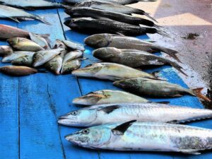 Mengenal Kuliner Seafood Khas Kepulauan Riau yang Dijamin Enak!