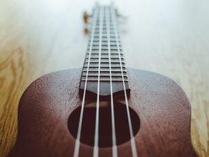 4 Barang yang Bisa Dirusak Pak Satpol PP Pontianak selain Ukulele