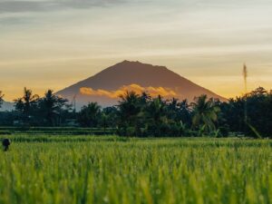Agribisnis, Prodi Lintas Jurusan Secara Nggak Sengaja