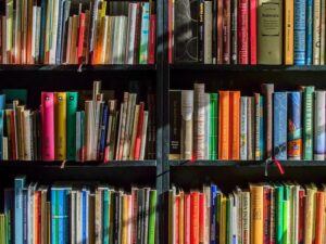Menghindari Perilaku Tsundoku, Membeli Banyak Buku Namun Tidak Dibaca