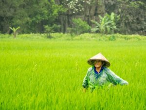 Ilmu Titen dan Mitos Jawa Itu Beda, Jangan Dipukul Rata