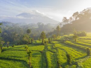Surat Rahwana kepada Sinta