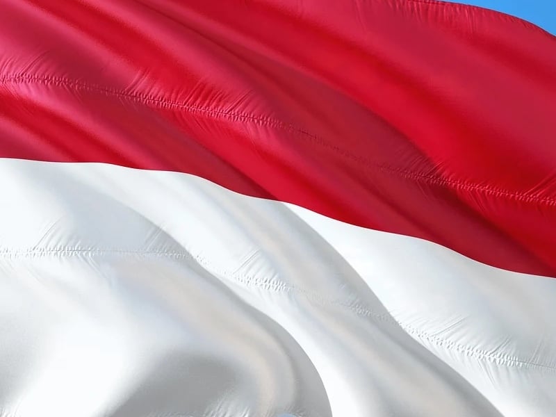 karang taruna pentas agustusan bendera merah putih indonesia terminalmojok
