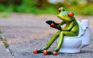 Sejarah Berak Duduk ala Barat dan Budaya Berak sambil Bercengkrama