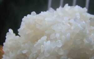 Nasi Shirataki, Alternatif Baru Pengganti Nasi Putih
