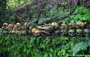 Mengintip Tradisi Unik Pemakaman di Desa Trunyan Bali