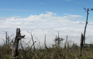 Gunung Lawu Memang Beda, dan Kami Dipaksa Menyerah