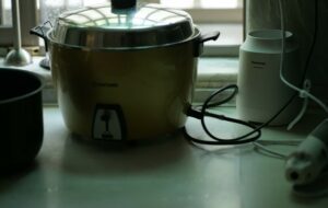 4 Rice Cooker yang Cocok buat Anak Kos
