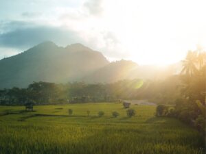Kabupaten Trenggalek Juga Punya Banyak Pendekar dan Sisi Gelap Ini Pernah Ada