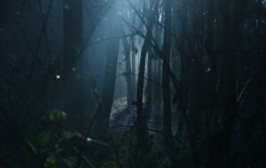 Rekomendasi 7 Film Horor dari Korea Selatan yang Sesuai dengan Ekspektasi Penonton Indonesia