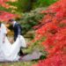 Tradisi Nyumbang dan Perihal Acara Pernikahan di Jepang terminal mojok