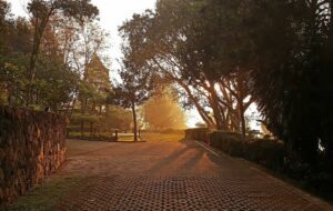 Sejarah Dago, Tempat Mangkal Petani di Zaman Belanda