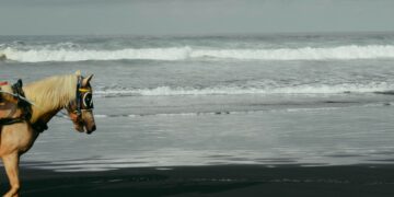 Tanggapan Keturunan Gusti Ahmad: Kami Tidak Ingin Rebut Takhta Kraton terminal mojok.co