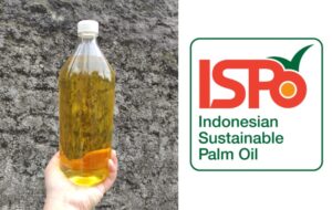 Konsumen Produk Sawit Harus Pastikan Barang yang Dibelinya Dibuat Tanpa Merusak Alam