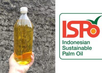 sertifikat ispo sertifikasi perkebunan kelapa sawit trifos terminal mojok.co