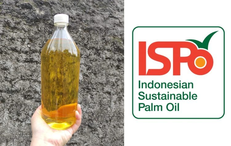 sertifikat ispo sertifikasi perkebunan kelapa sawit trifos terminal mojok.co