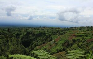 5 Tempat Wisata Gratis di Boyolali yang Wajib Dikunjungi