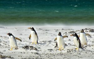 3 Hal Dasar yang Harus Dikuasai kalau Ingin Menggunakan Linux
