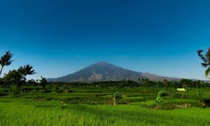 3 Singkatan Bahasa Sunda yang Biasa Digunakan para Sundanese