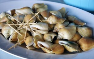 Gonggong: Kuliner Khas Kepulauan Riau yang Wajib Dicoba