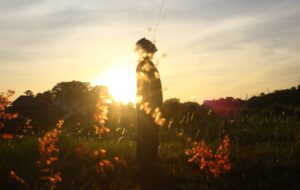 7 Wisata Gratis di Cibinong yang Layak Disinggahi
