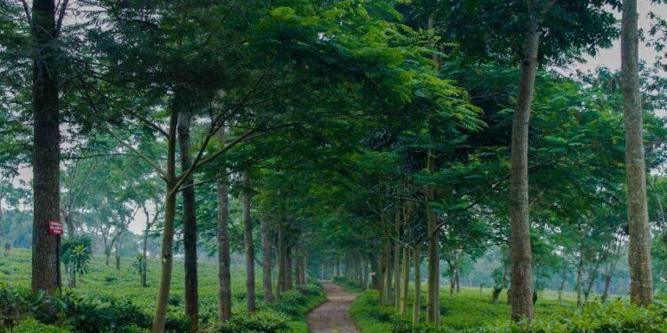 tempat wisata malang raya