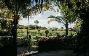 5 Wisata Kuliner di Kulon Progo dengan Pemandangan Sawah