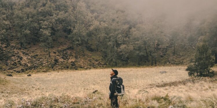 Alas Lalijowo, Hutan yang Sering Bikin Pendaki Tersesat di Gunung Arjuno terminal mojok.co
