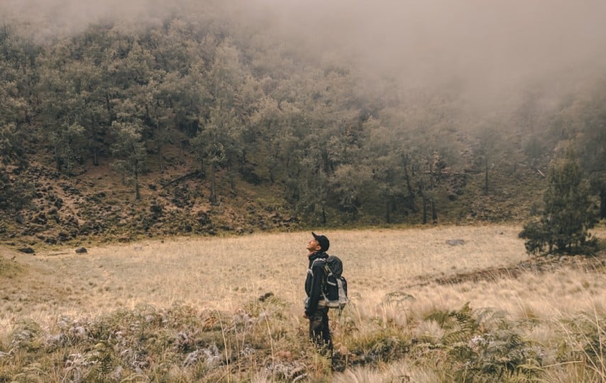 Alas Lalijowo, Hutan yang Sering Bikin Pendaki Tersesat di Gunung Arjuno terminal mojok.co