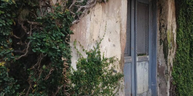 3 Makanan Tradisional Khas Kotagede yang Mulai Meredup Terminal Mojok